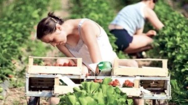 un nou val de migratie vezi care este destinatia romanilor