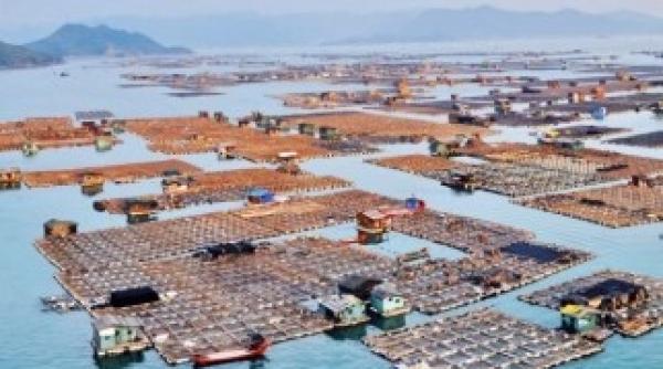 cum arata satul care pluteste pe apa