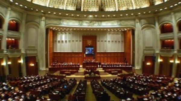 cine va prelua postul de lider al deputatilor pnl