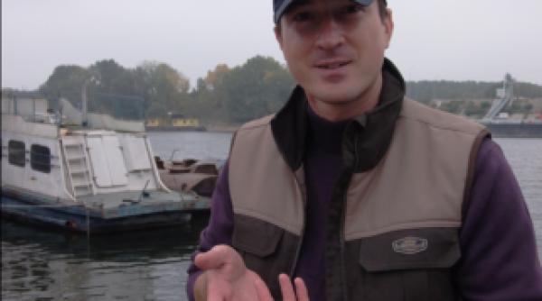 descoperire incredibila in dunare ce specie rara si a facut aparitia