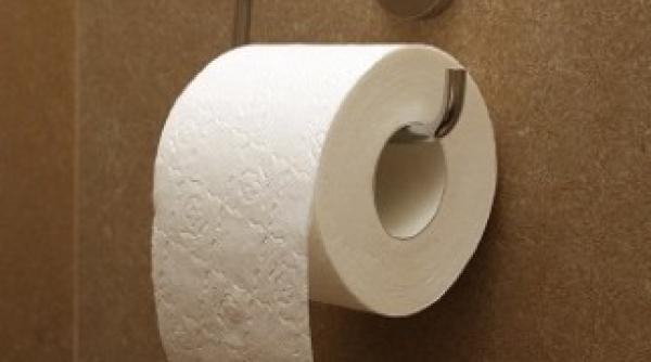 nemtii spun disperati ca romanii isi fac nevoile in curtile oamenilor