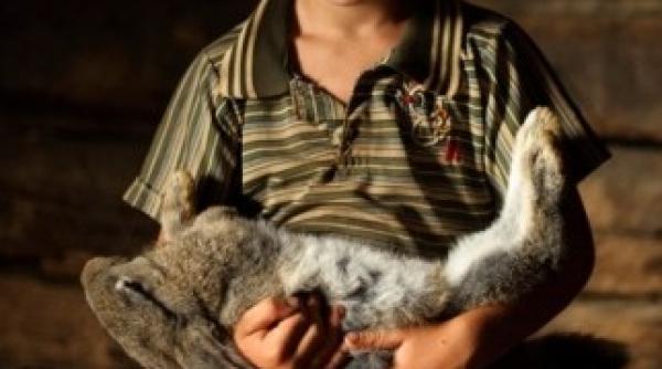 oameni si sufletele de langa la muzeul national al taranului roman