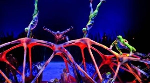 cirque du soleil amenda de peste 25 000 de dolari vezi motivul