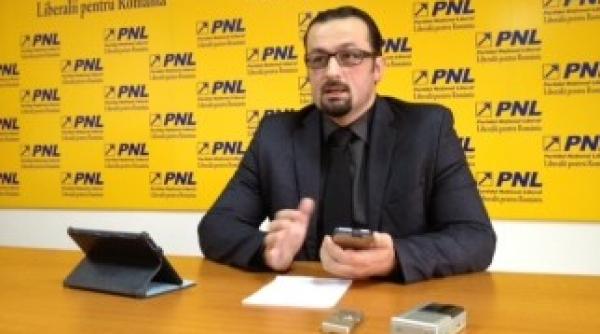 senator pnl cer audierea a patru ministri