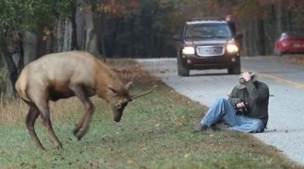 este uimitor ce a urmat dupa ce a fost realizata aceasta poza