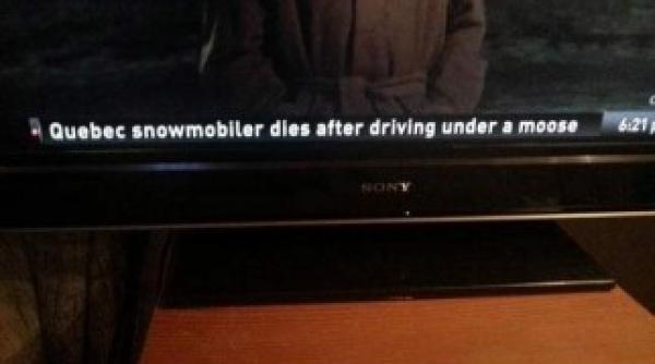 fotografii soc pentru cei care vor sa emigreze in canada