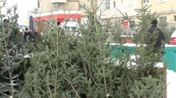 atentie ce brazi cumparati ati putea fi amendati