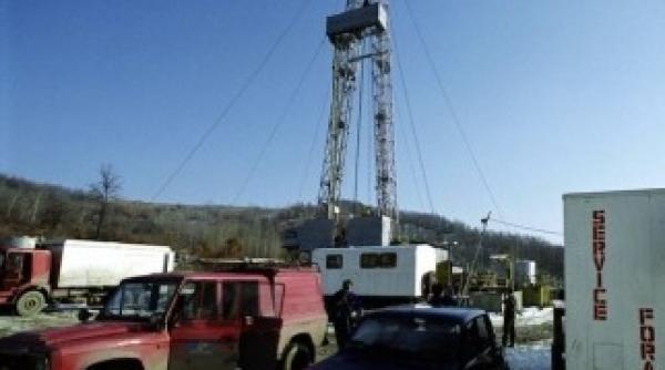 studiu socant pentru romani cinci mituri despre aurul negru aruncate in aer