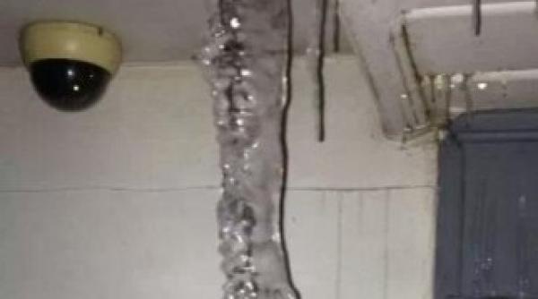 incredibil ce a gasit un barbat la usa cand a venit gerul