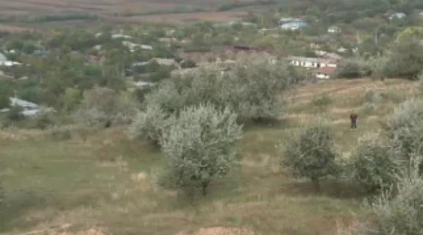 fenomen ciudat izvoarele ce aparut unde au avut loc cutremurele