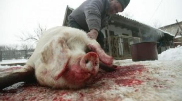 ignat troc pentru un porc ce se da la schimb pentru porcul de craciun