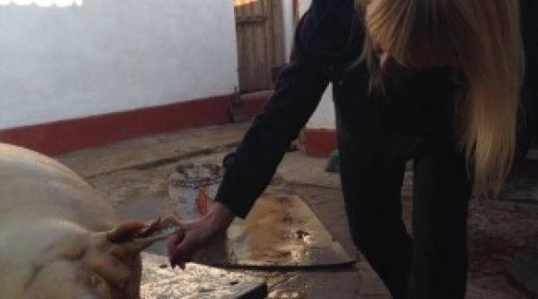 udrea vrea sa fie fruncea tot anul ce facut la taierea porcului