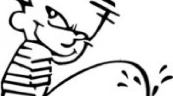 vedeta rtv basescu a facut pipi cu bolta