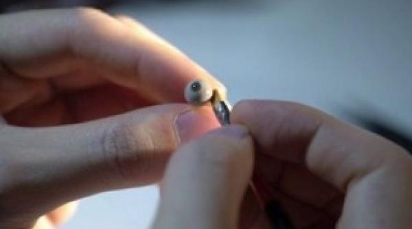 misterul din spatele acestor imagini nimeni nu si dat seama