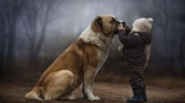 emotie si inocenta doi copii intr o galerie foto de exceptie