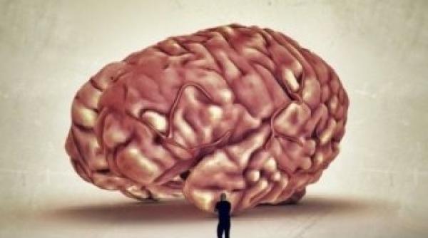 descoperirea expertilor la ce varsta oamenii devin genii