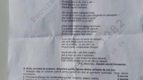 subiecte evaluare nationala 2014 ce s dat la romana