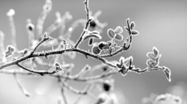 anuntul meteorologilor se intorc ninsorile prognoza pe trei zile