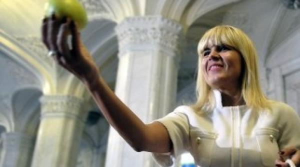 elena udrea se intoarce acasa la buzau 2