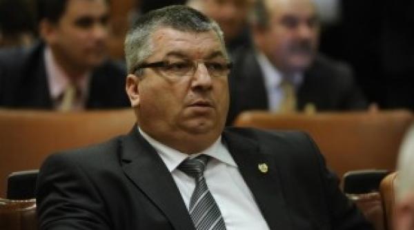 cine initiat petitia pentru gratierea lui gica popescu terfelim simbolurile nationale