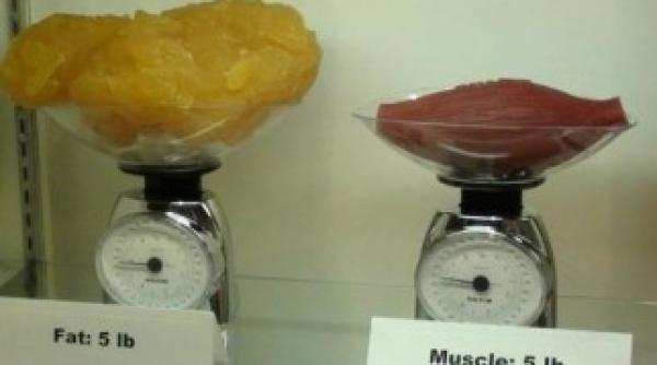imaginea care te va surprinde cum arata 2kg de grasime in compartie cu 2kg de muschi