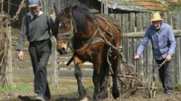 ana birchall sustine ca judetul vaslui sa fie declarat zona defavorizata