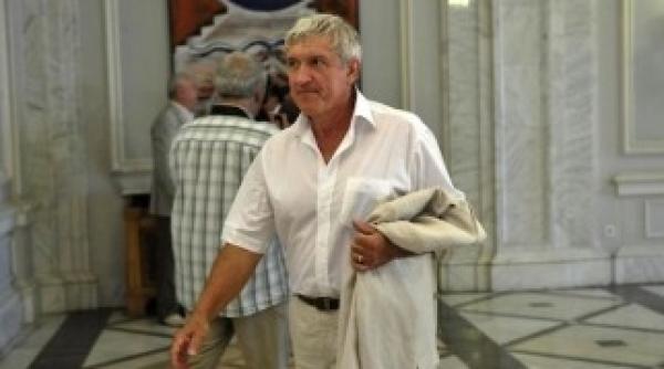 ani mircea diaconu nu poate candida la europarlamentare