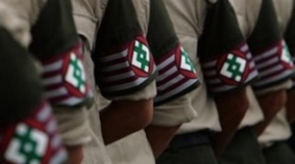 interzicerea prezentei jobbik in romania nu e fezabila spune frunda