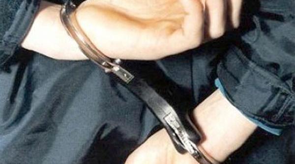 efa licen elor din cadrul arr re inuta de dna