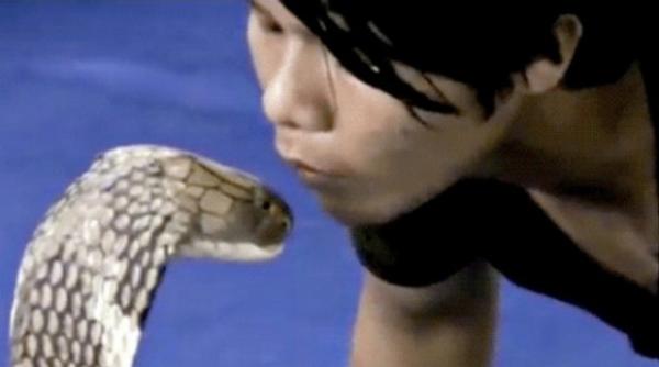 sarutul mortii vezi ce i s a intamplat unui barbat care a sarutat o cobra
