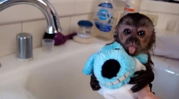 prima baie nu se uita niciodata video adorabil