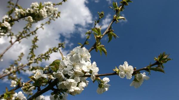 vremea in urmatoarele doua saptamani prognoza pe regiuni