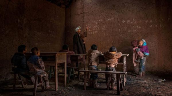 ce apare intr o fotografie premiata cu 120 000 de dolari