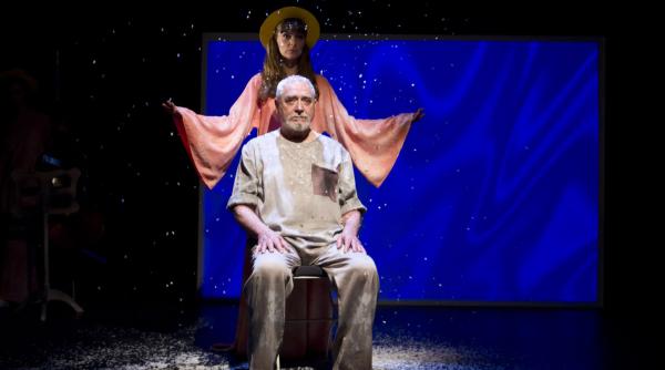 problema pentru care nu exista solu ie rapsodie n roz la teatrul nottara