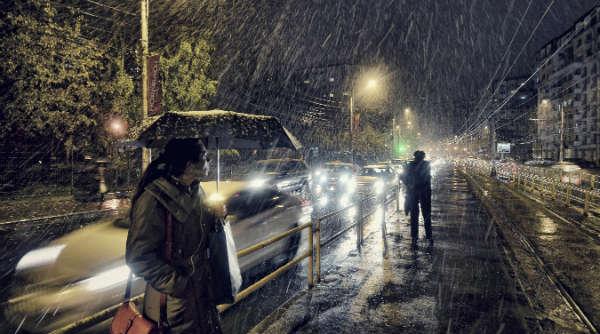 un roman printre ca tigatorii printre castigatorii concursului sony world photography 2014