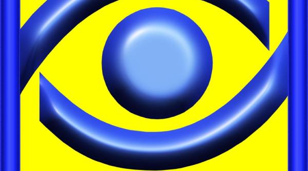 pn cd a depus la bec lista pentru europarlamentare