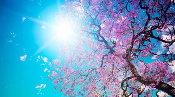 vremea se race te prognoza meteo pentru doua saptamani pe regiuni