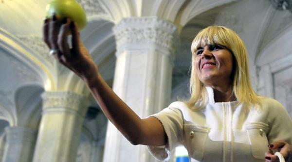 exclusiv cate hectare a strans elena udrea cu cine se asociaza pentru a lucra pamantul