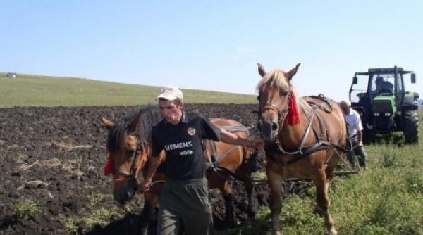 manastirile i parohiile subven ii pentru agricultura de 5 milioane de euro in 2013