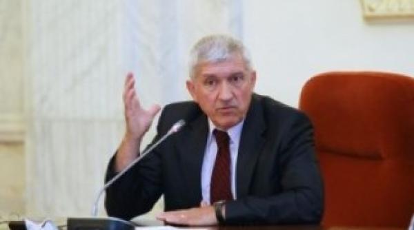 tmb diaconu are dreptul sa candideze la europarlamentare