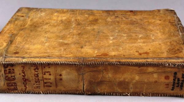 moda macabra car i legate in piele umana