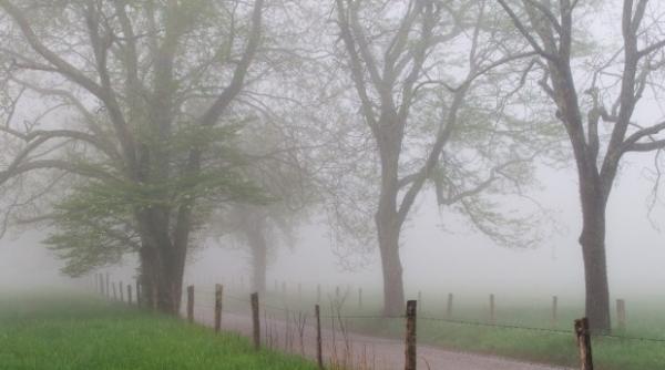 record inregistrat in romania nu s a mai intamplat din 1961