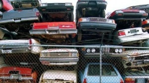 start pentru rabla 2014 vezi principalele schimbari