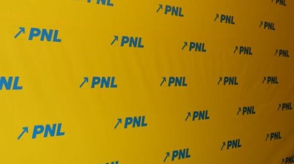 candidatul la preziden iale din partea pnl a fost desemnat