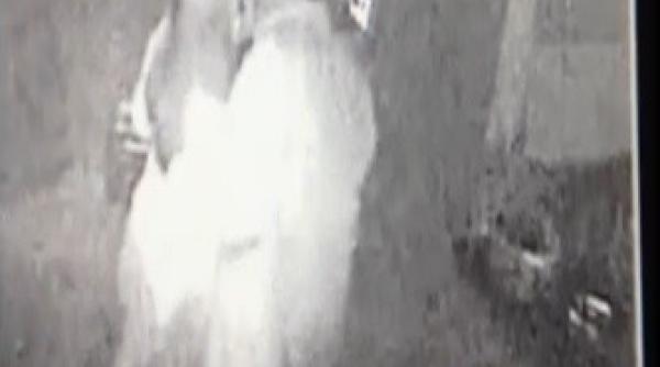 politician casatorit filmat in timp ce saruta cu pasiune o colega