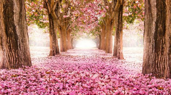 ar putea fi tunelul necunoscut din top in romania