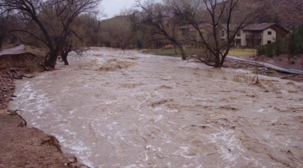 cod portocaliu de inunda ii