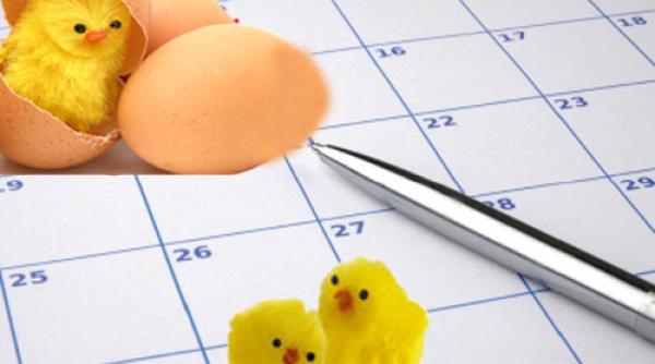 pa te 2014 invierea cade intr o zi pe care mul i o urasc