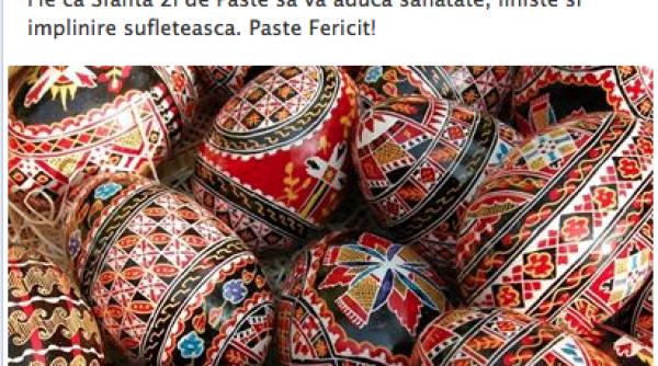 pa te 2014 geoana cuprins de febra filmule elor video