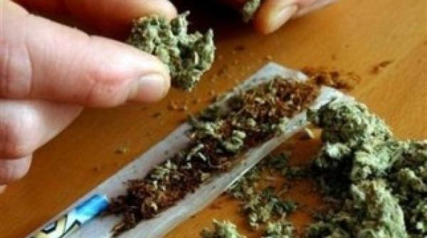 canadienii au ie it in strada pentru legalizarea marijuanei